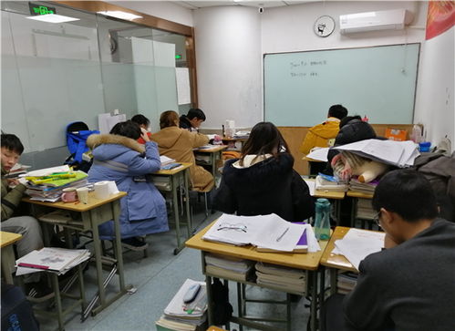新闻中心 郑州心睿教育咨询